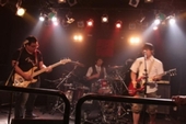 SnY̊F