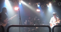 SnY̊F